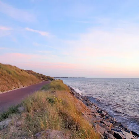 Les Cordylines By Interhome *