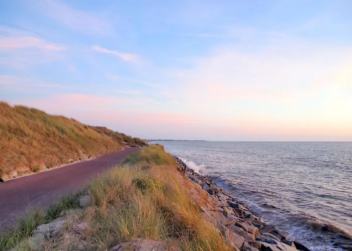 Les Cordylines By Interhome *