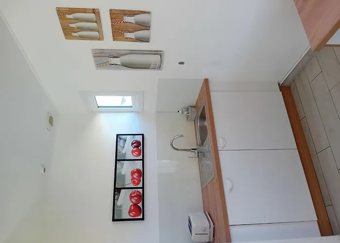 Les Cordylines By Interhome